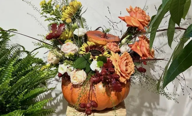 Des courges fleuries décoratives pour Halloween et pour l'automne, Château-Arnoux-Saint-Auban, Fabilaure