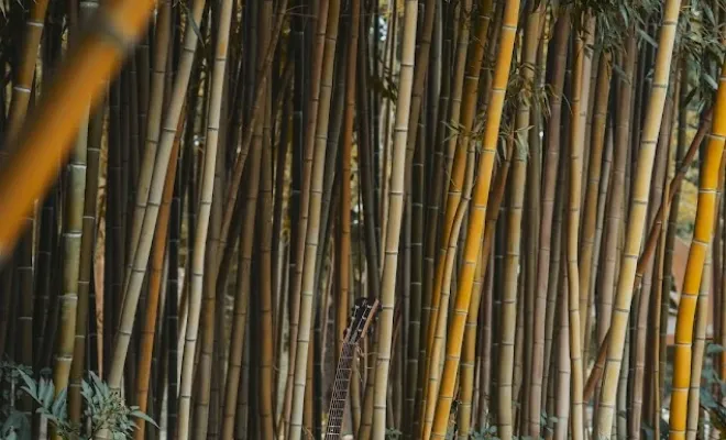 C'est le moment pour faire fleurir votre mariage, Château-Arnoux-Saint-Auban, Fabilaure